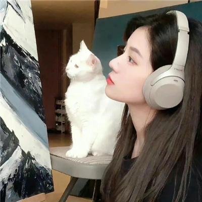 纽约遇到爱